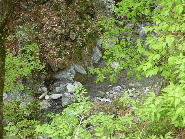 d0351575_13435721.jpg