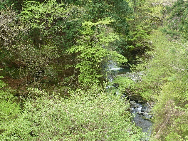 d0351575_13440802.jpg