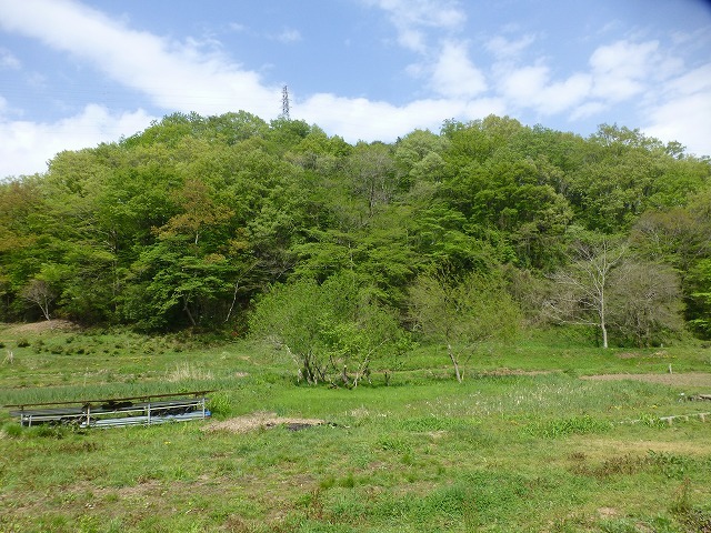 d0351575_14232810.jpg