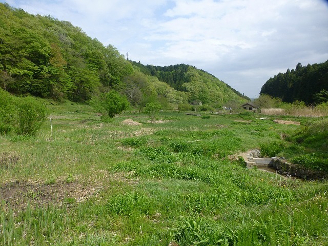 d0351575_14235450.jpg