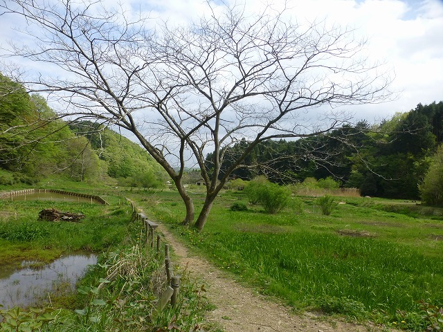 d0351575_14241036.jpg
