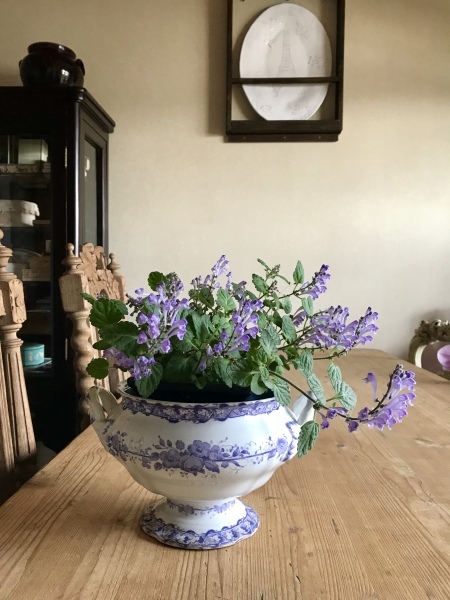 d0125776_12001849.jpeg