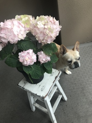 d0048577_19362743.jpeg