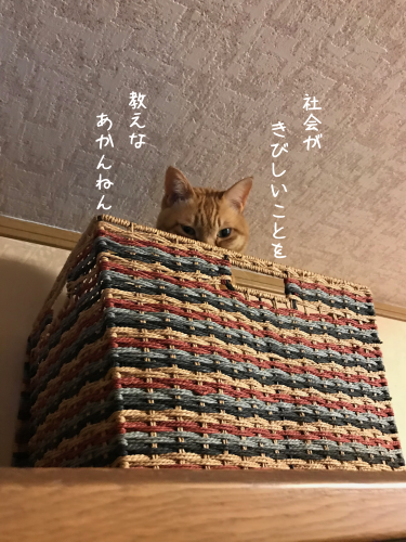 a0216583_10515495.png
