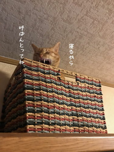 a0216583_10515893.png