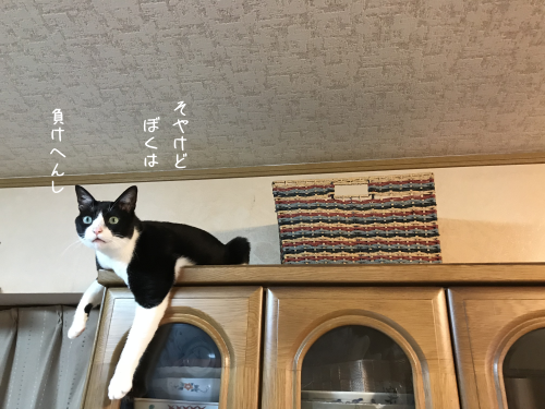 a0216583_10520481.png