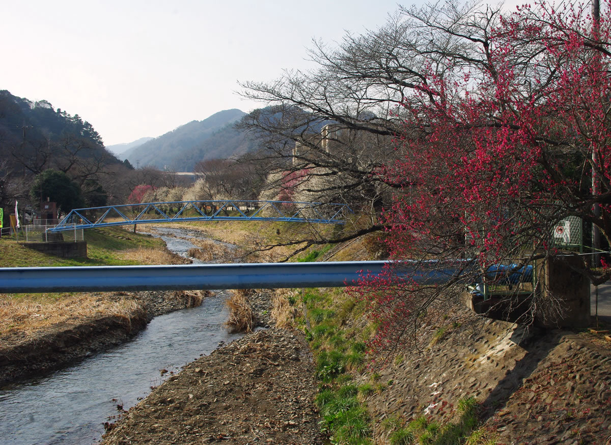 b0123486_10420681.jpg