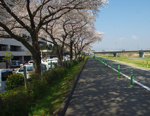 b0123486_11451258.jpg