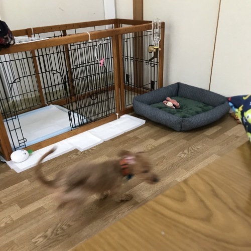 c0259887_13315287.jpeg