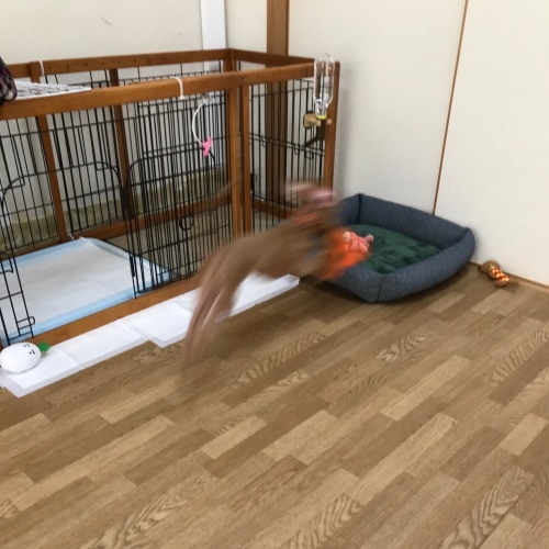 c0259887_13421127.jpeg