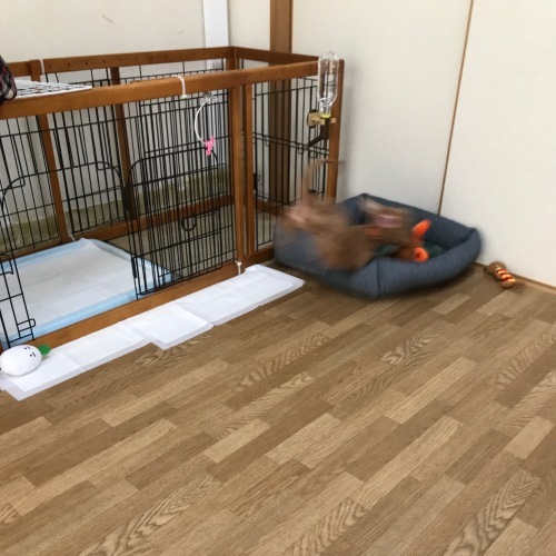 c0259887_13421460.jpeg