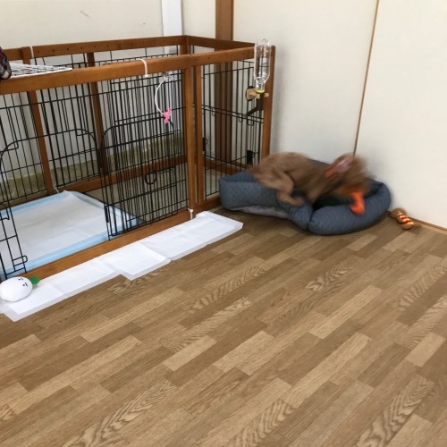 c0259887_13421854.jpeg