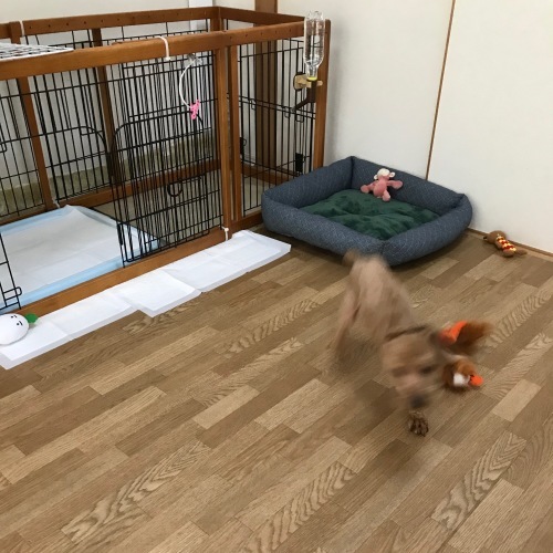 c0259887_13422152.jpeg