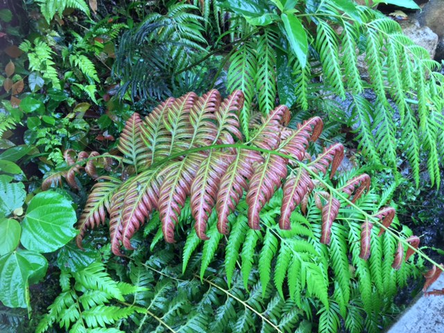 c0064389_22122295.jpg