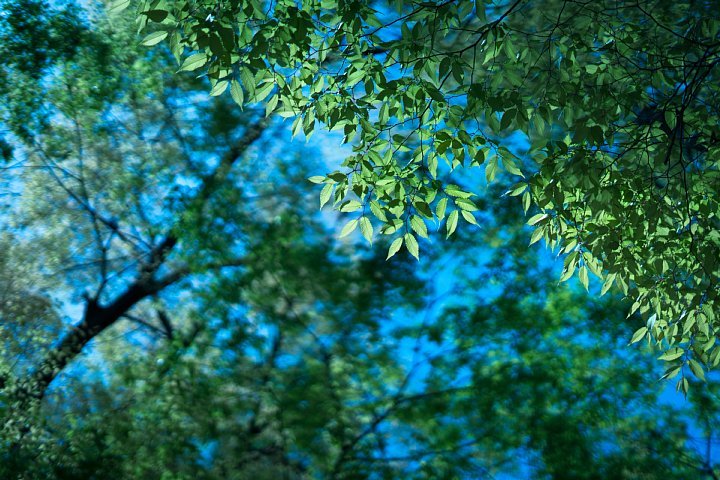 Green in Blue_d0353489_22544506.jpg
