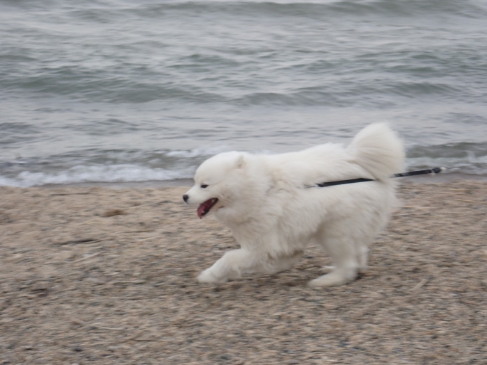 久しぶりの知内浜キャンプ♪_a0049296_19363814.jpg