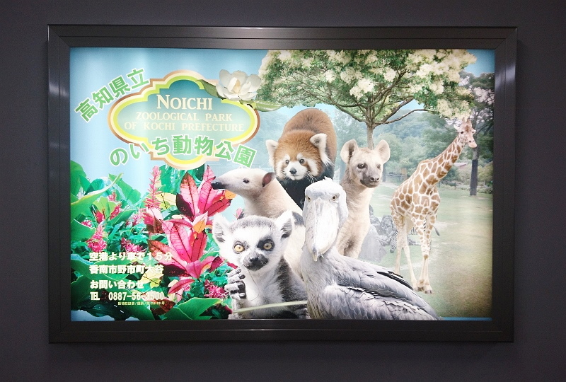 動物園セット 248PCS 遊びに行こう！トミカ動物園セット｜トミカ｜タカラトミー