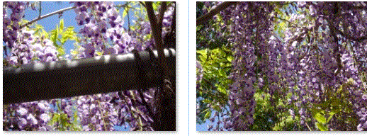 f0231709_16170156.gif