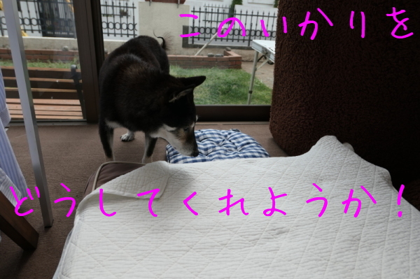 f0369014_09304420.jpg