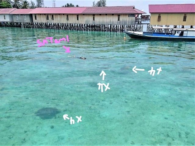 デラワン報告最終章_c0211615_22222734.jpg