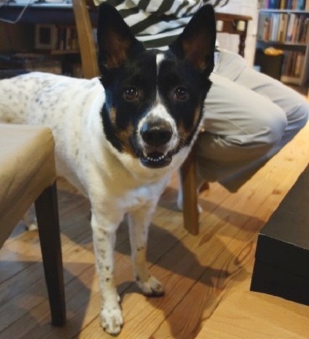 c0084117_20073996.jpeg