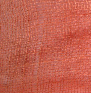 f0373718_07523555.png