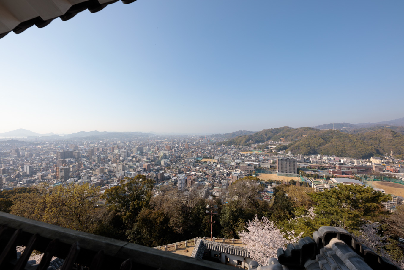 満開の桜の城「松山城」②_c0369219_04444005.jpg