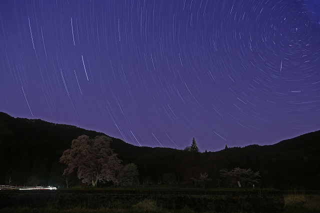 佐久間康郎さんの作品です　東城町千鳥別尺のヤマザクラ_a0300121_17213755.jpg