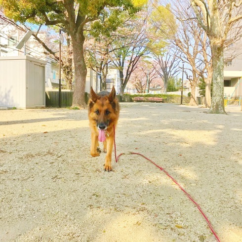 c0132121_08431041.jpeg