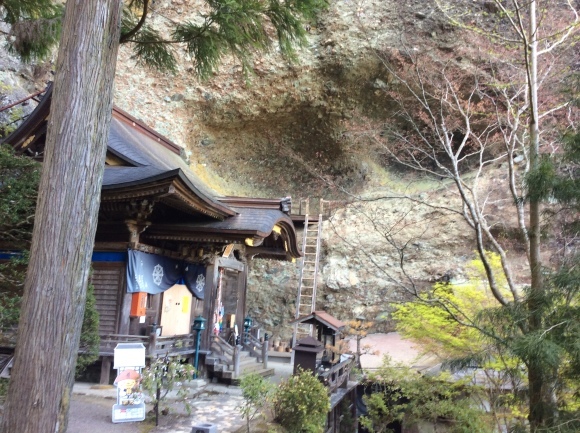 f0171227_20382509.jpeg