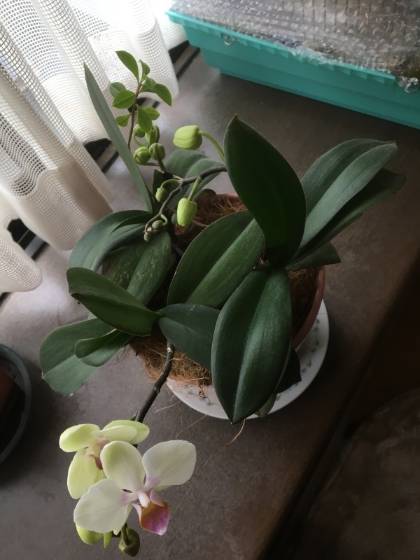 d0359930_10283771.jpeg
