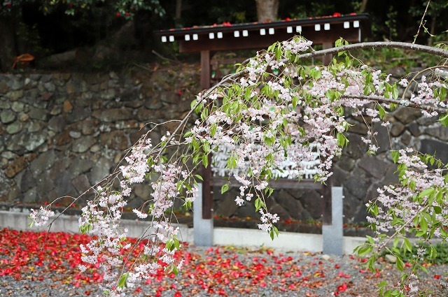 a0242438_18502459.jpg