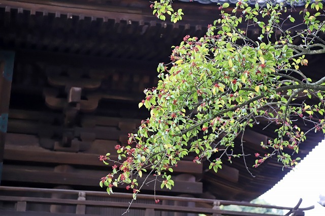 a0242438_18511699.jpg