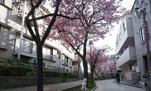 a0117039_00413447.jpg