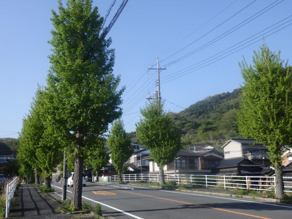 a0054240_21345091.jpg