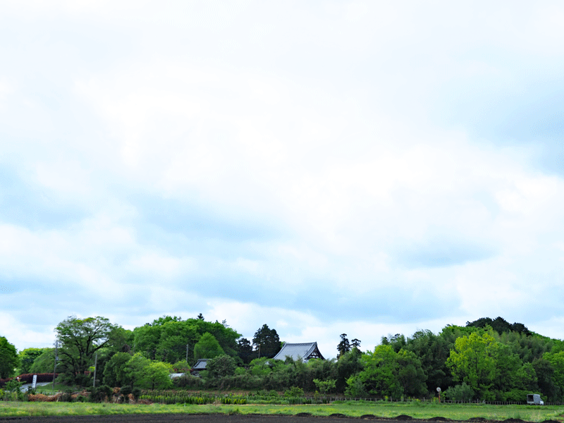 d0290240_20535737.gif
