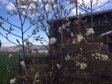 a0272241_17412879.jpeg