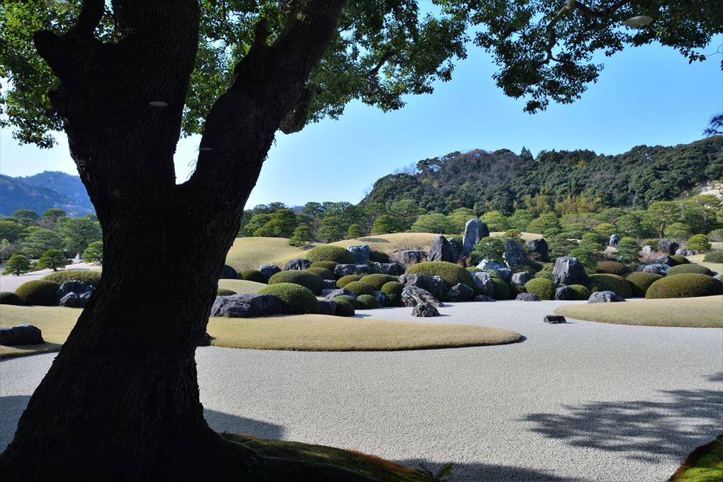 「足立美術館」山陰山陽、桜の旅(6)_a0315942_21140354.jpg