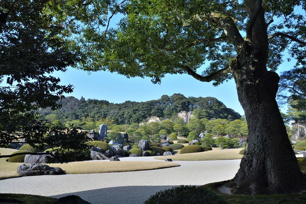 「足立美術館」山陰山陽、桜の旅(6)_a0315942_21140704.jpg