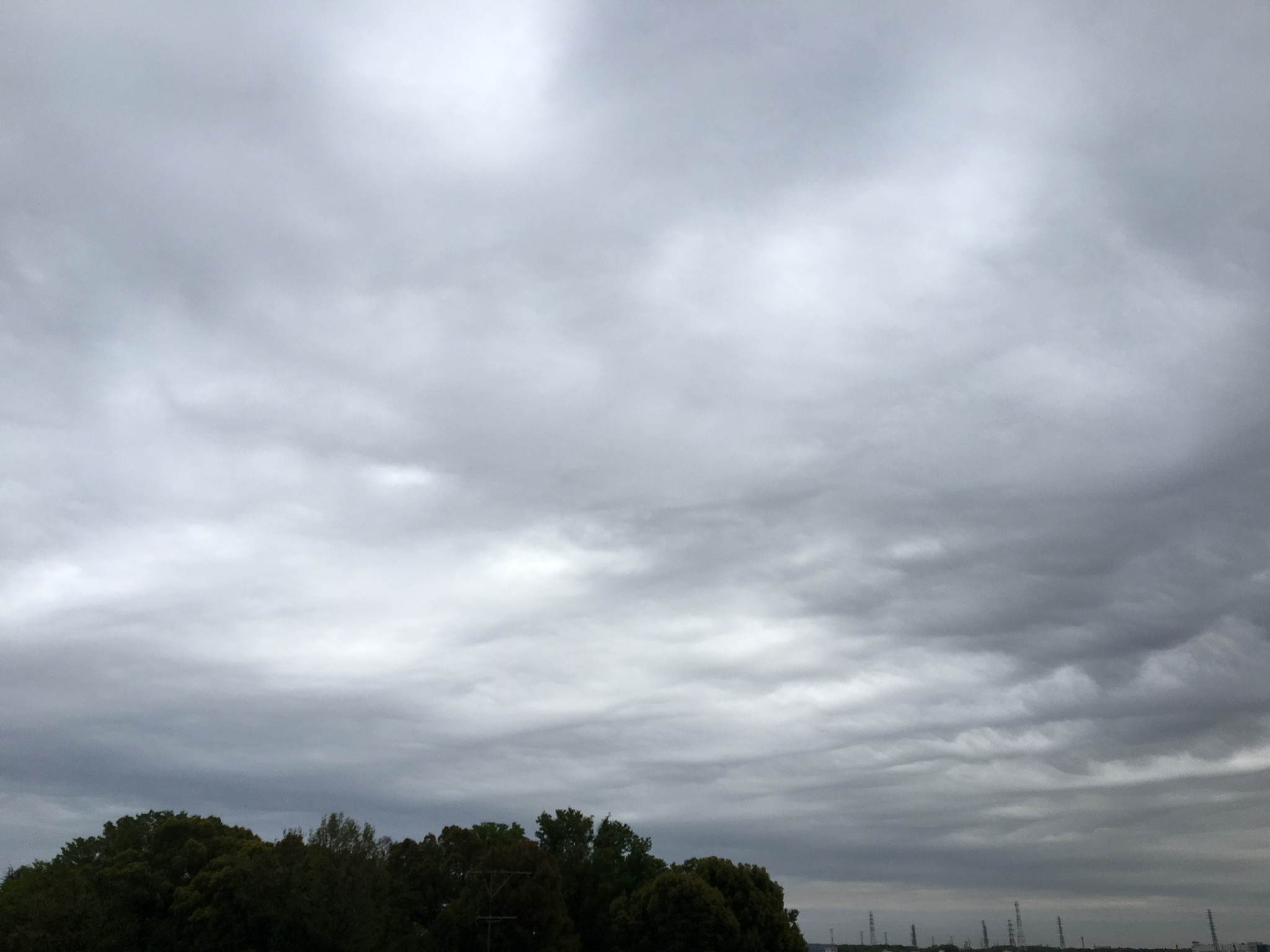 e0206242_80242.jpg