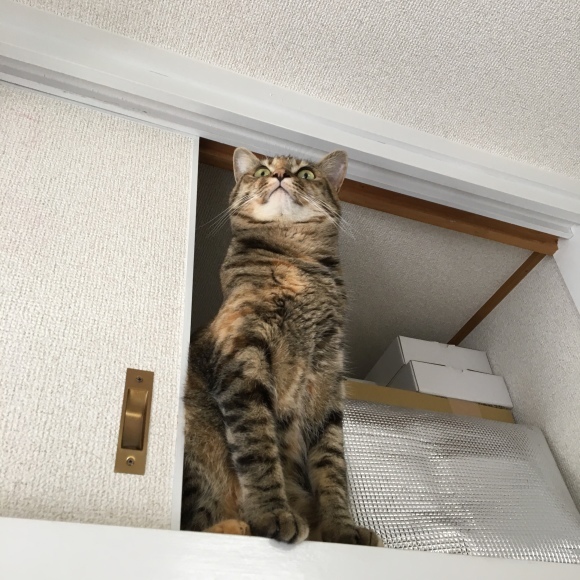 f0372445_19383298.jpeg