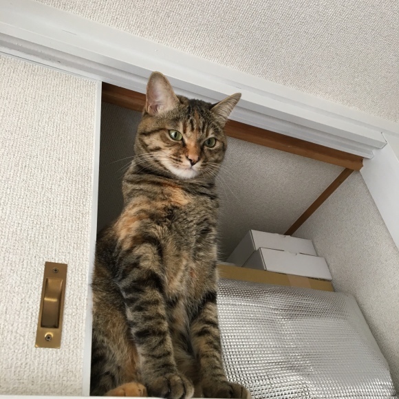 f0372445_19384638.jpeg