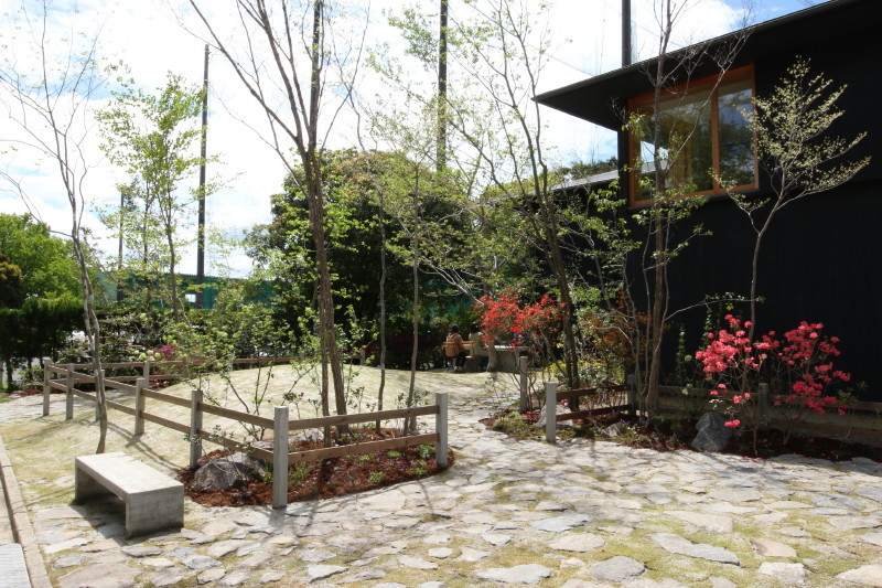 c0074553_21542181.jpg