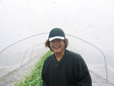 熊本産!匠の『夢スイカ』は今年も大好評!次回は小玉スイカ、大玉スイカとも5月8日(火)からの出荷です!_a0254656_18390298.jpg