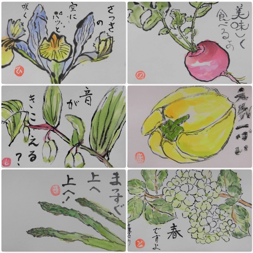 絵手紙教室 春の題材ハナミズキ他 島原の料理教室 クッキングクラブ島原 絵手紙教室 春の題材ハナミズキ他 島原の料理教室 クッキングクラブ島原