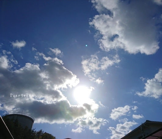 d0362666_20534909.jpg