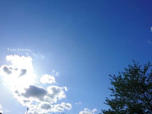 d0362666_21211230.jpg