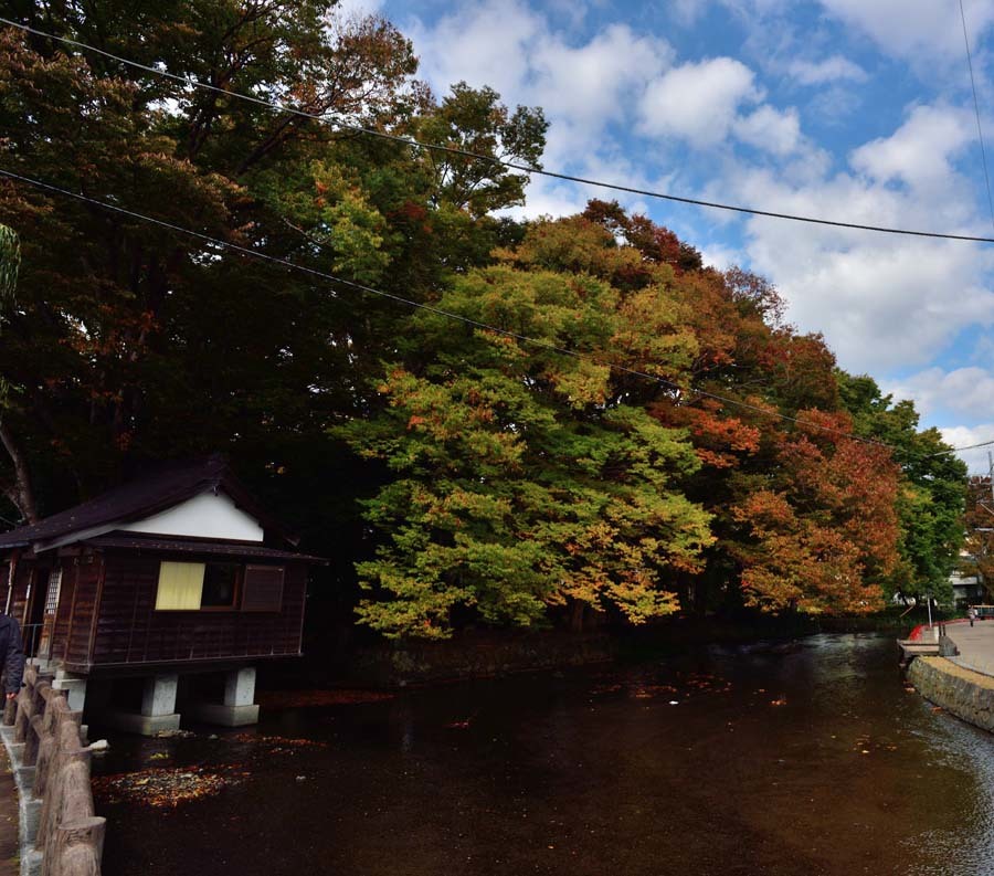 ばあばを待つ間に   三島編　　part２　白滝公園、桜川_b0346568_15165169.jpg