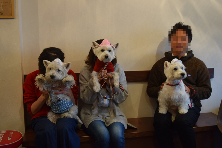b0242873_10134665.png