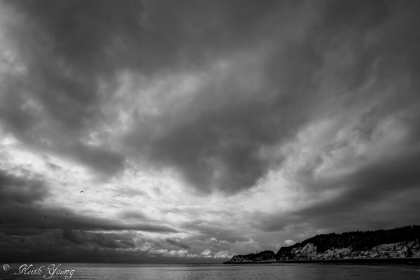 e0338273_20101285.jpg
